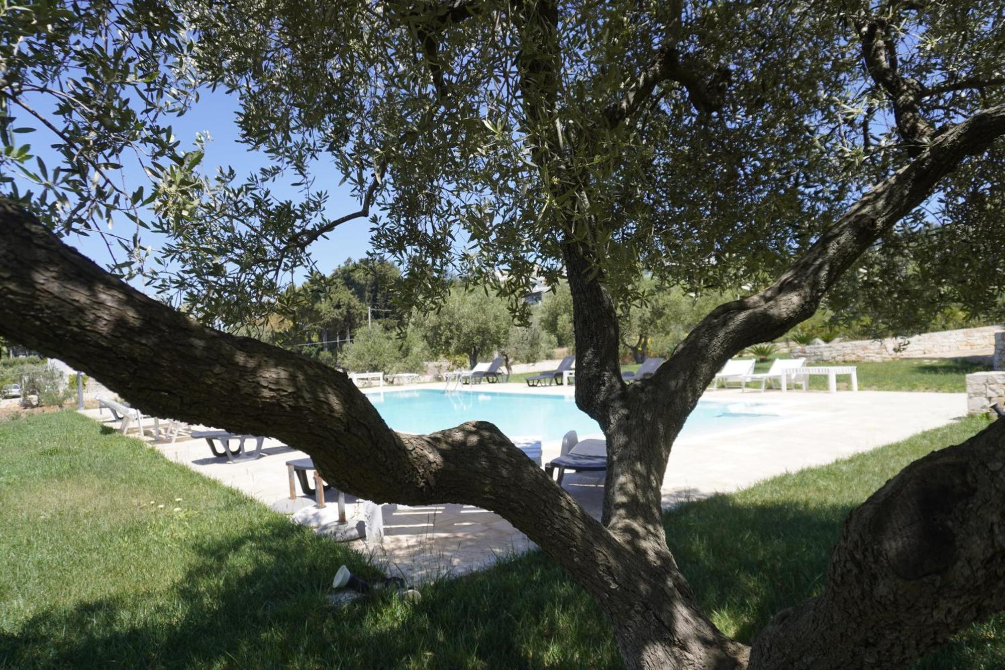 Trullo Amico Villa Чистернино Екстериор снимка