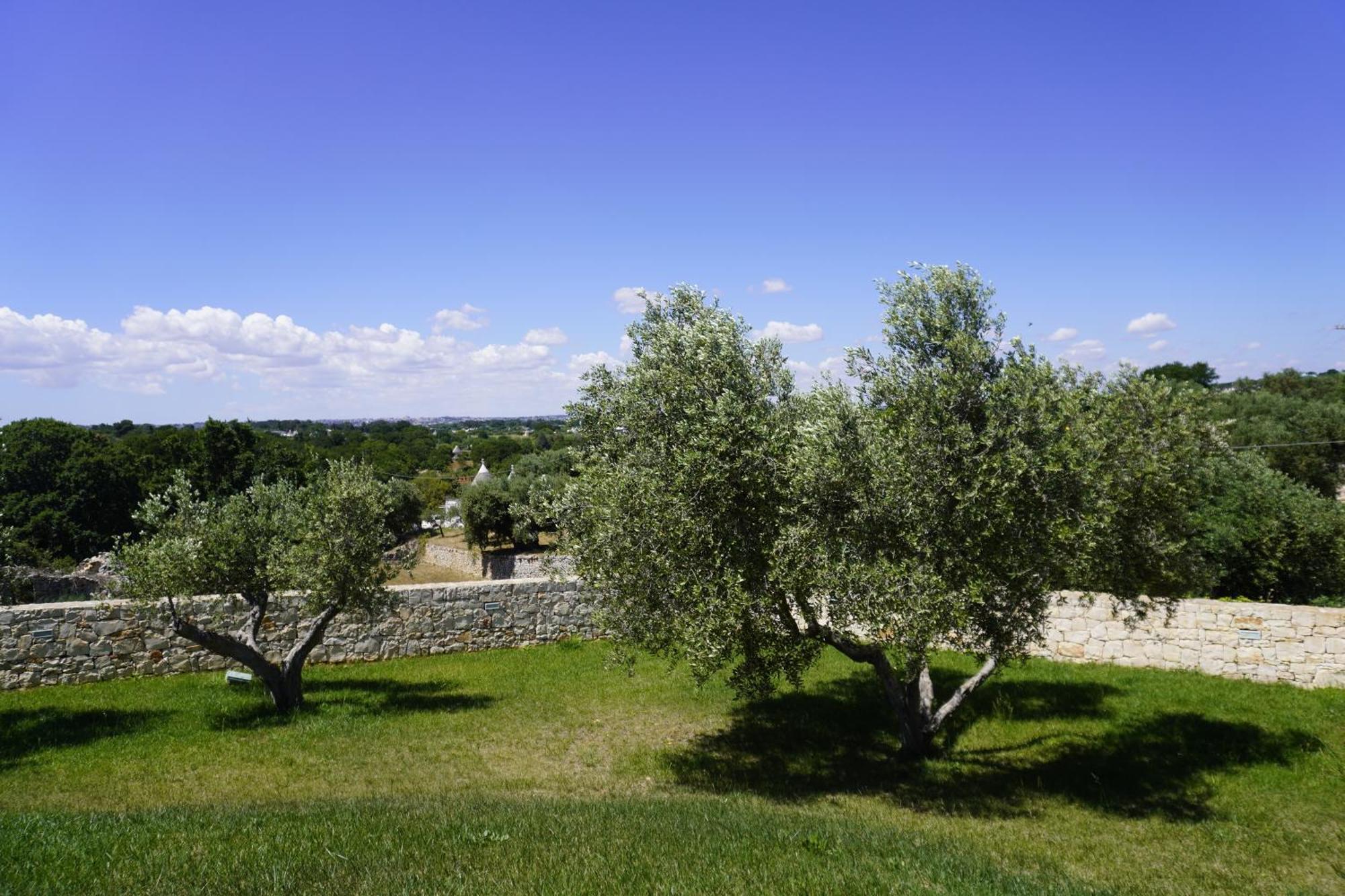 Trullo Amico Villa Чистернино Екстериор снимка